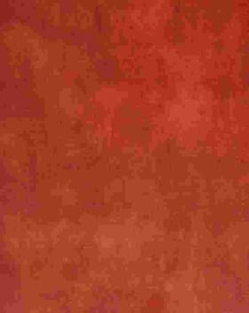 JF Vintage Velvet Fabric / Coral JF Vintage Velvet Fabric / Coral
