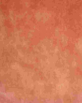 JF Vintage Velvet Fabric / Rose JF Vintage Velvet Fabric / Rose