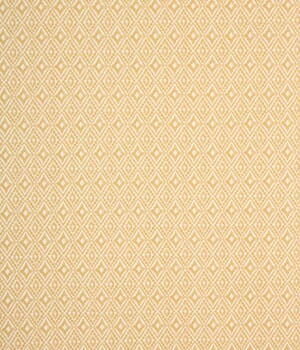 Aztec  Fabric Aztec  Fabric