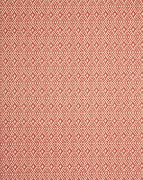 Aztec Fabric / Salsa Aztec Fabric / Salsa