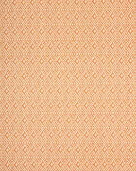 Aztec Fabric / Henna Aztec Fabric / Henna
